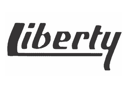 Liberty Motorized Screen